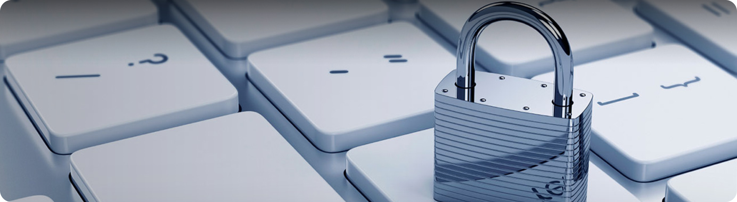 Terms and Conditions