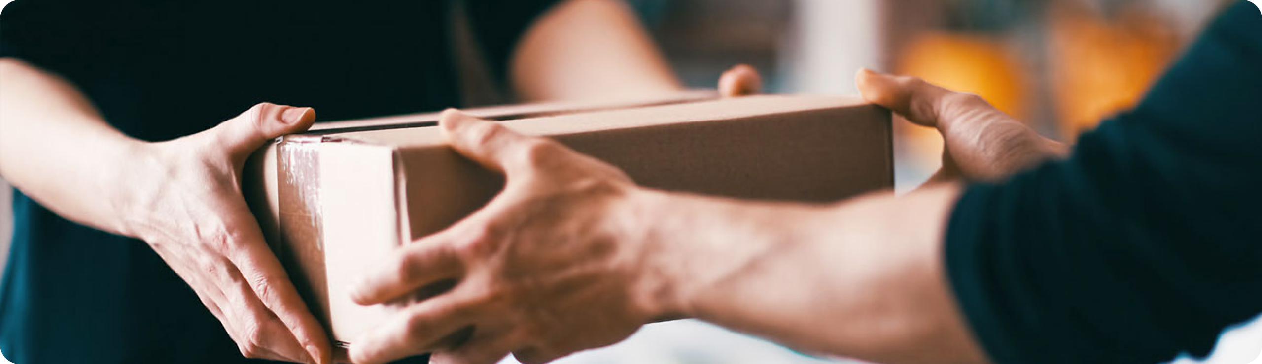 Terms and Conditions